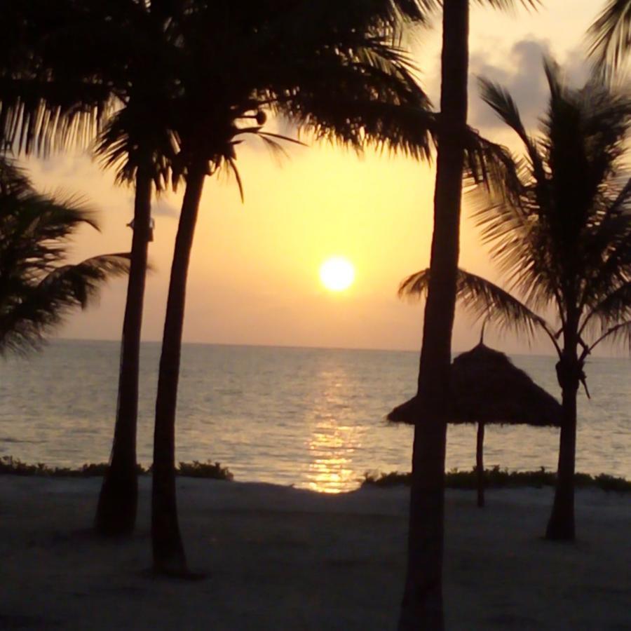 Bwejuu Beach Palm Villa Exteriér fotografie