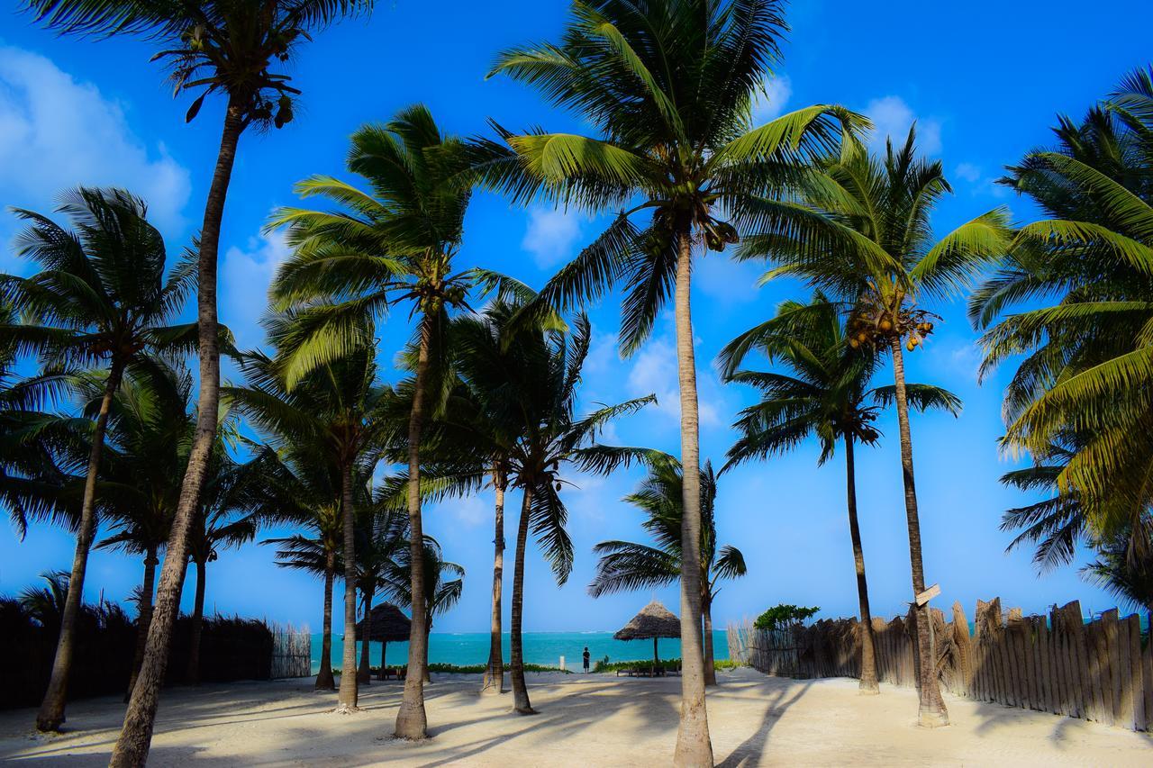 Bwejuu Beach Palm Villa Exteriér fotografie