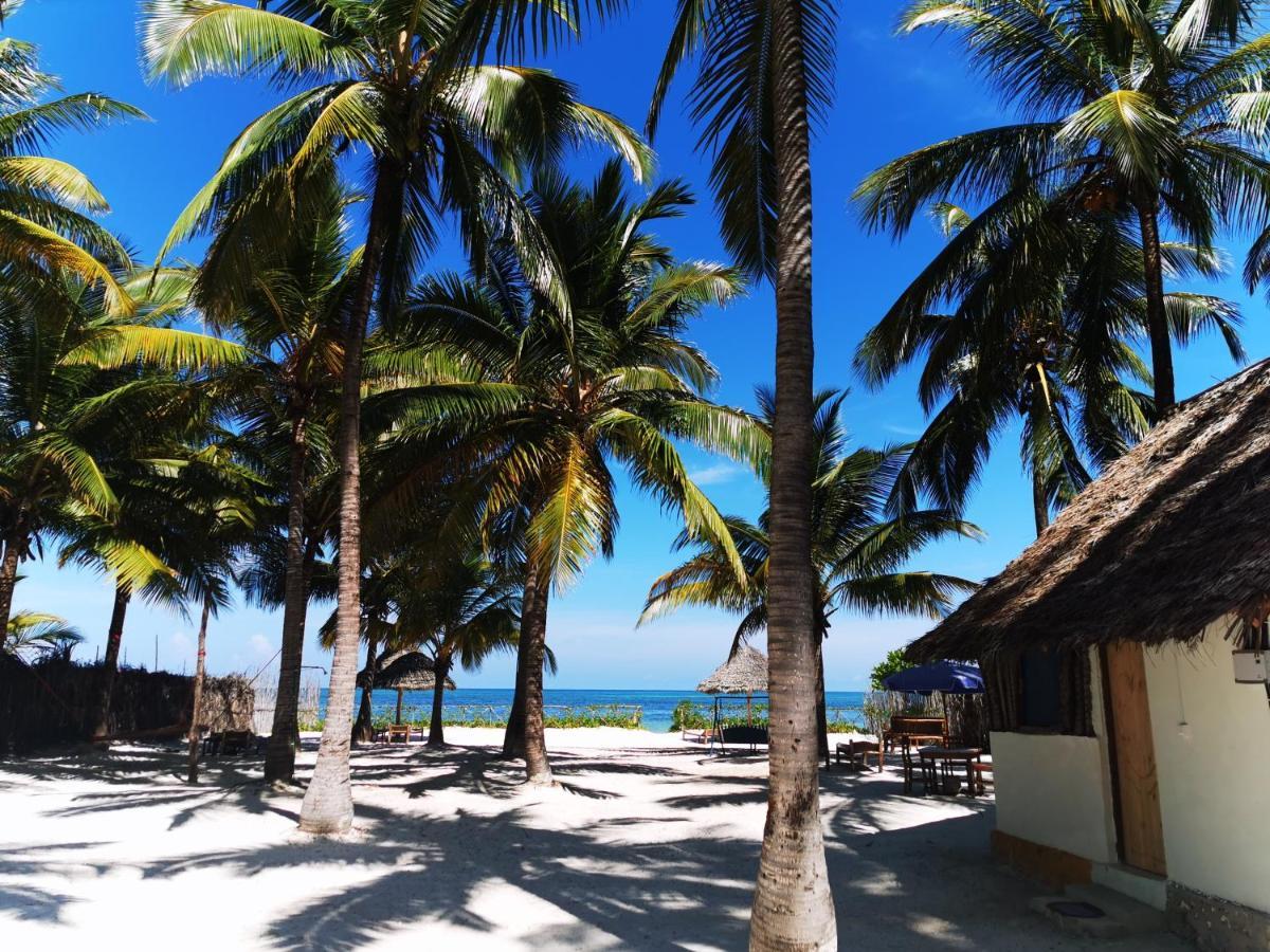 Bwejuu Beach Palm Villa Exteriér fotografie
